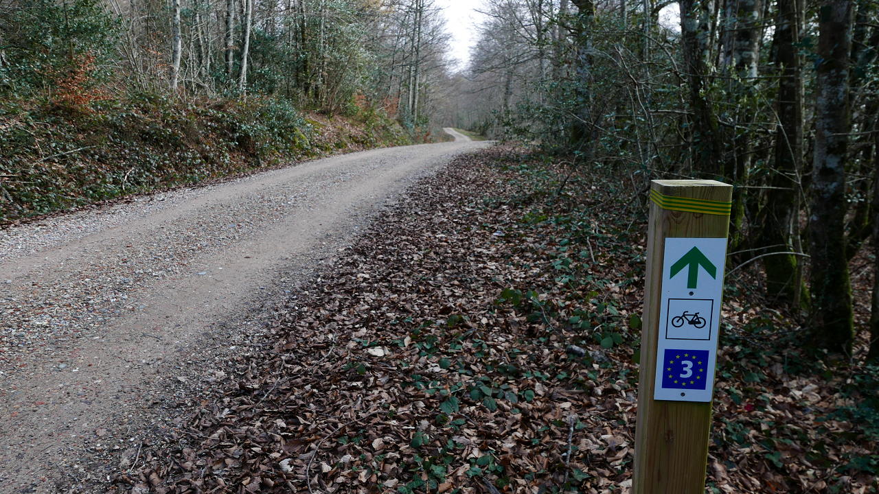 Sigo por esta pista bicicletera